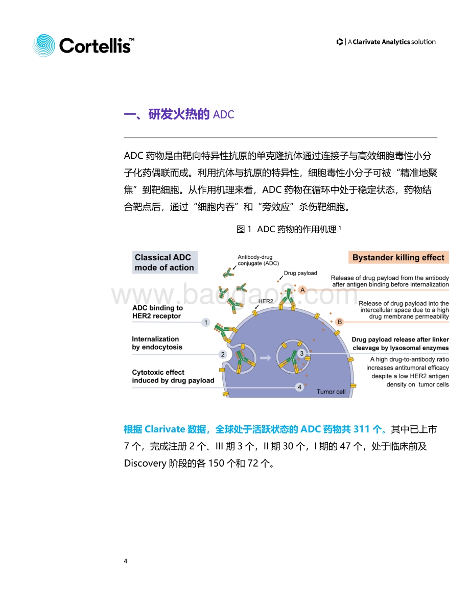 2020年全球ADC药物研发报告.pdf_第4页