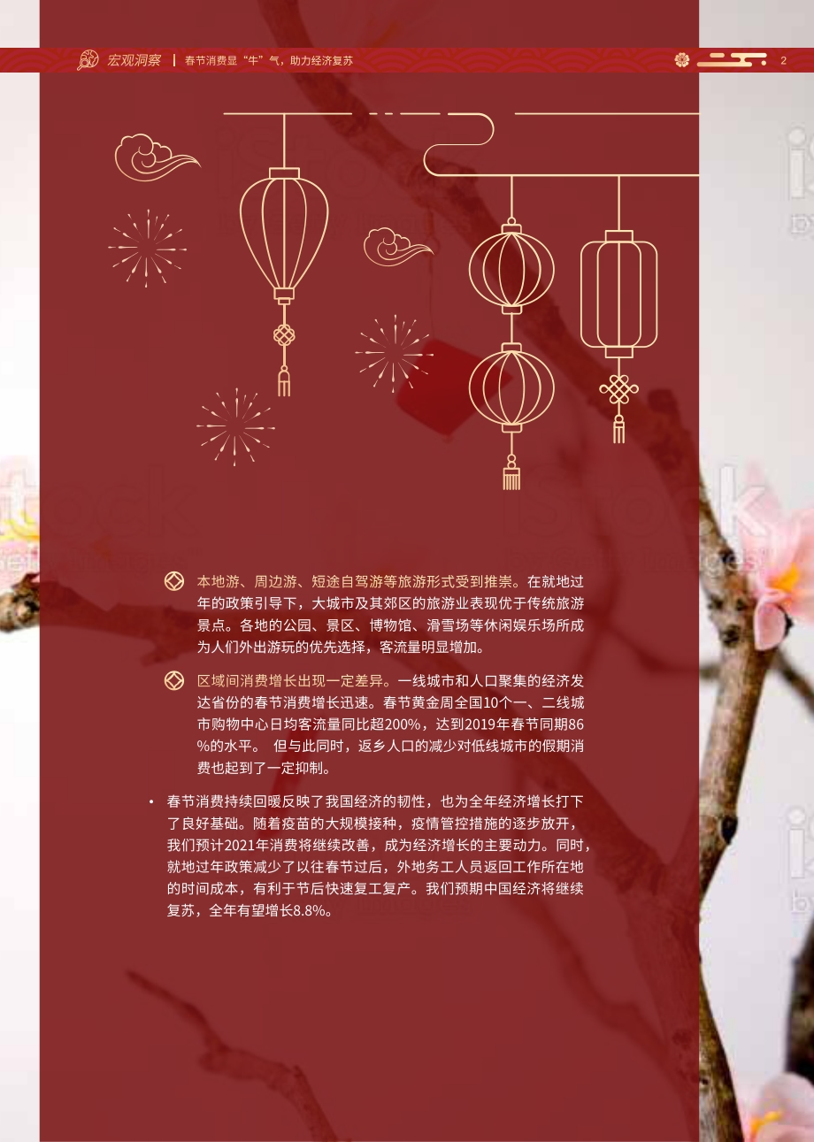 春节消费显“牛”气助力经济复苏.pdf_第3页