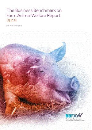 2019版农场动物福利商业基准（英文版）.pdf