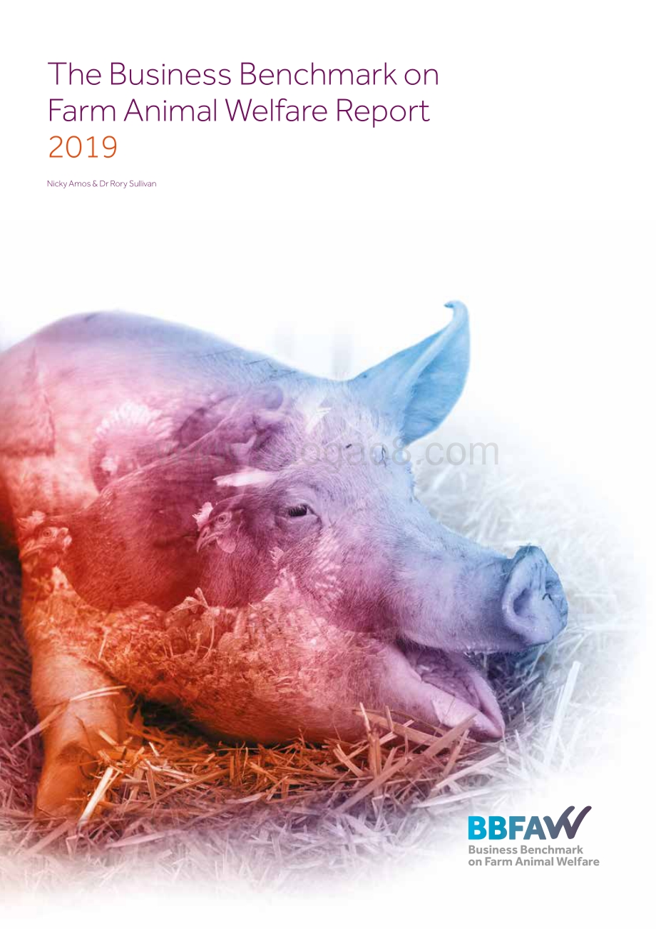 2019版农场动物福利商业基准（英文版）.pdf_第1页