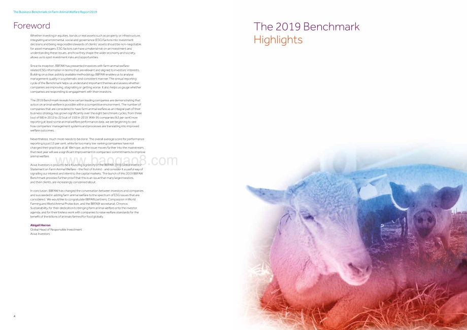 2019版农场动物福利商业基准（英文版）.pdf_第3页