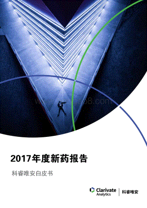 2017年度新药报告.pdf