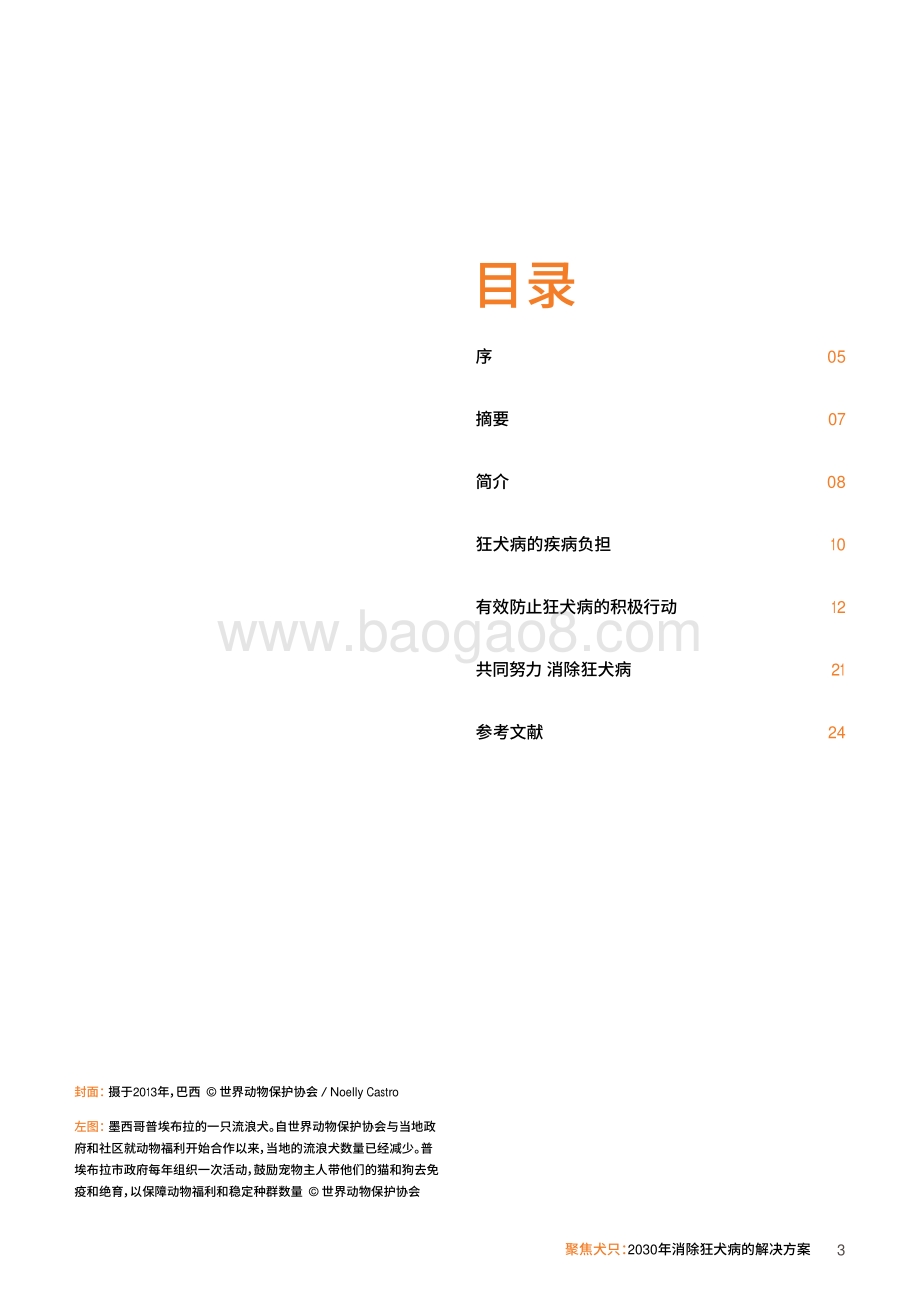 2030年消除狂犬病的解决方案：聚焦犬只.pdf_第3页