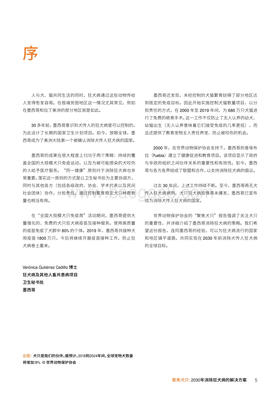 2030年消除狂犬病的解决方案：聚焦犬只.pdf_第5页
