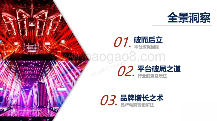 2020双11全景洞察.pdf_第2页