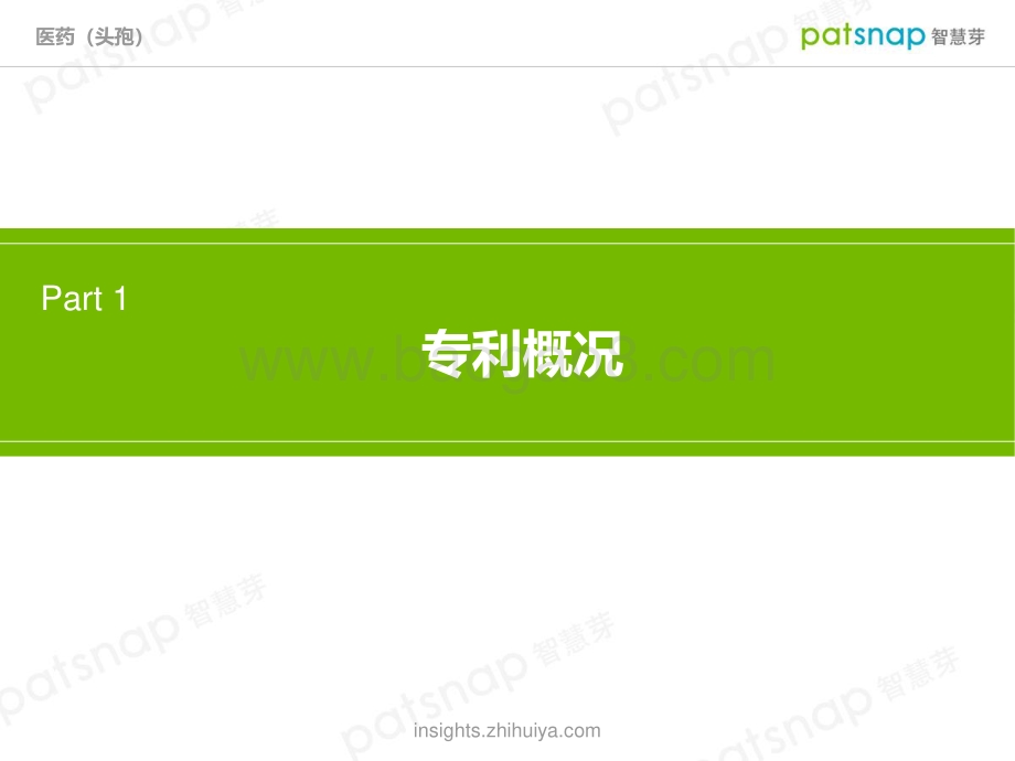 头孢-技术全景分析报告.pdf_第3页