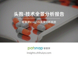 头孢-技术全景分析报告.pdf
