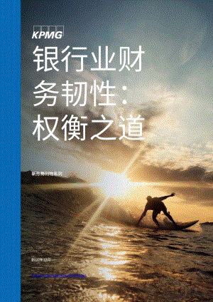 银行业财务韧性：权衡之道.pdf