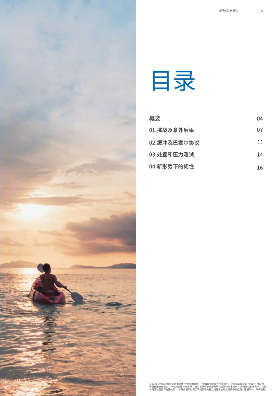 银行业财务韧性：权衡之道.pdf_第3页