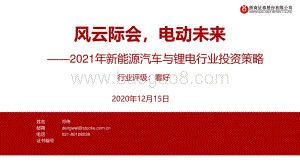 2021年新能源汽车与锂电行业投资策略：风云际会电动未来.pdf