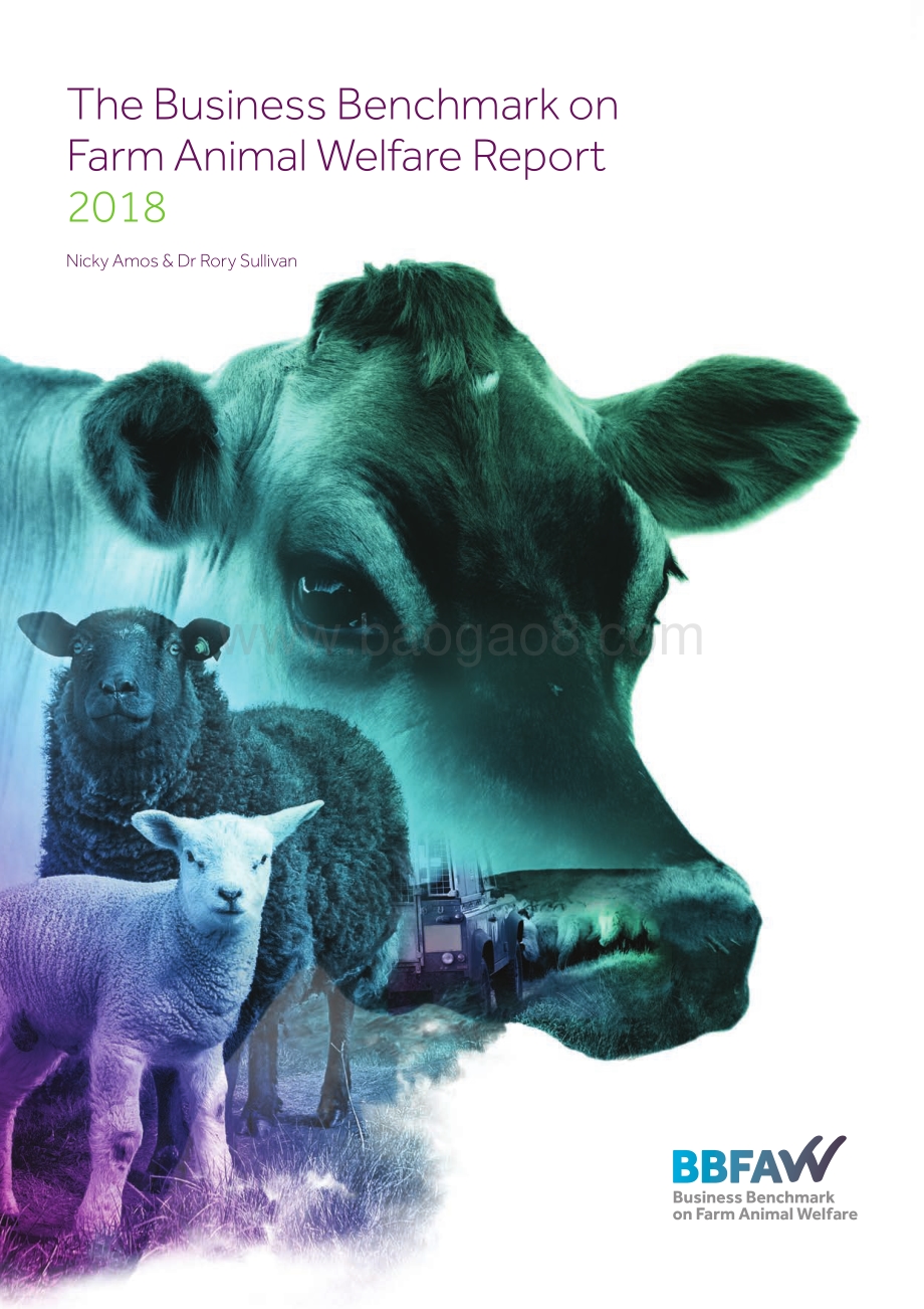2018版农场动物福利商业基准（英文版）.pdf_第1页