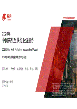 2020年中国高纯生铁行业短报告.pdf