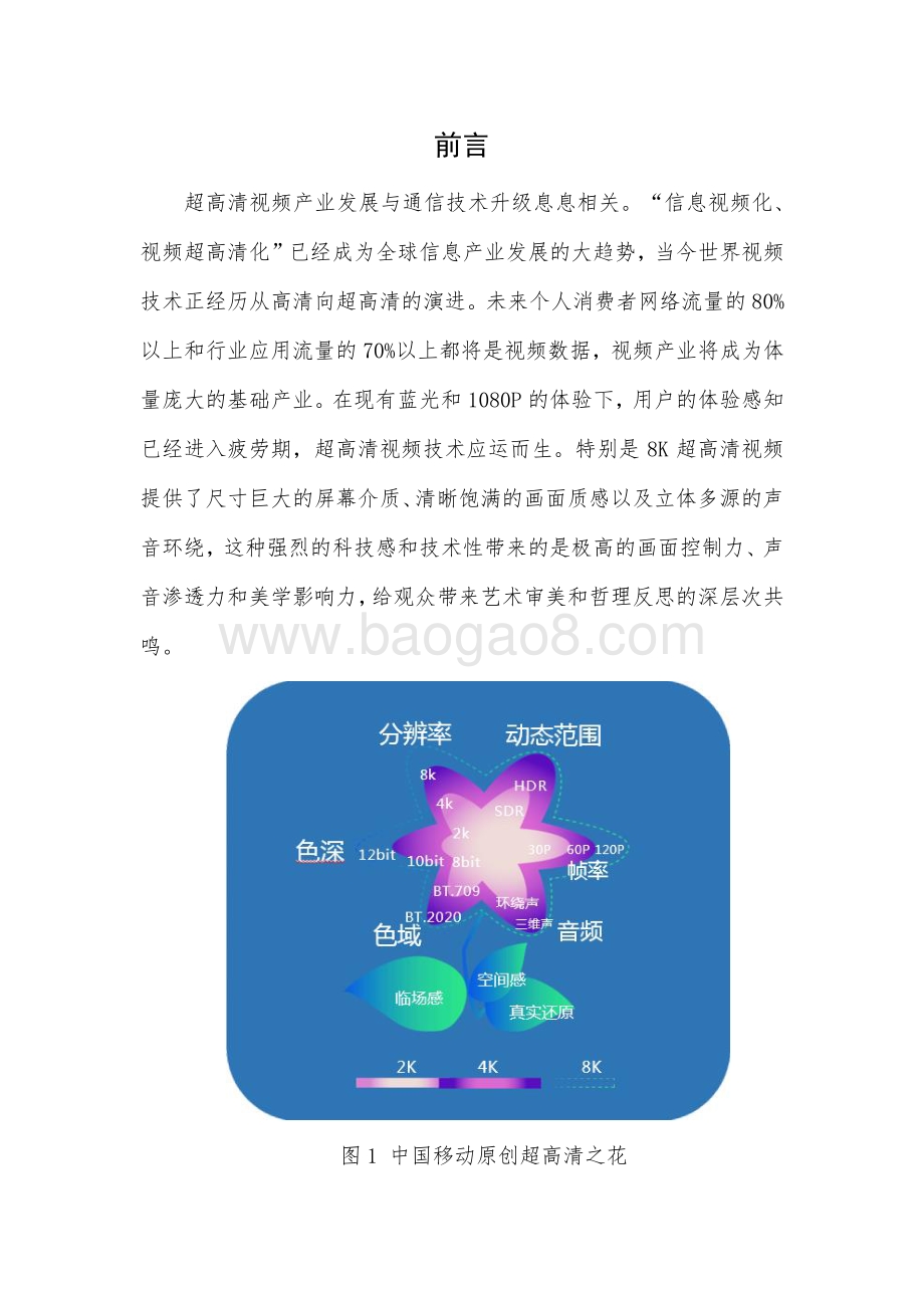 2020版5G＋8K超高清国产化白皮书.pdf_第3页