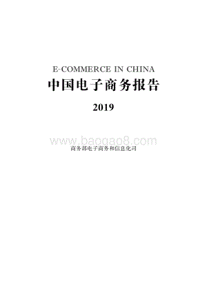 2019中国电子商务报告.pdf