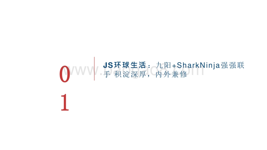 2021年JS环球生活发展分析报告.pptx_第5页