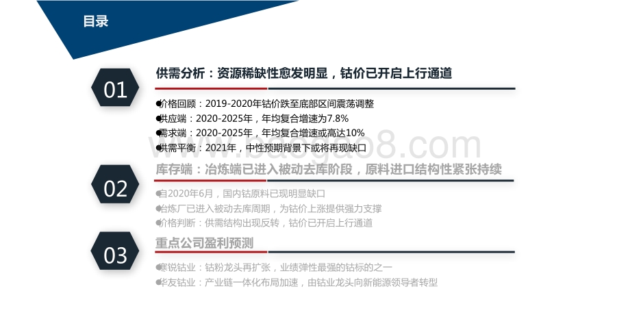 2021钴行业发展前景研究报告.pptx_第2页