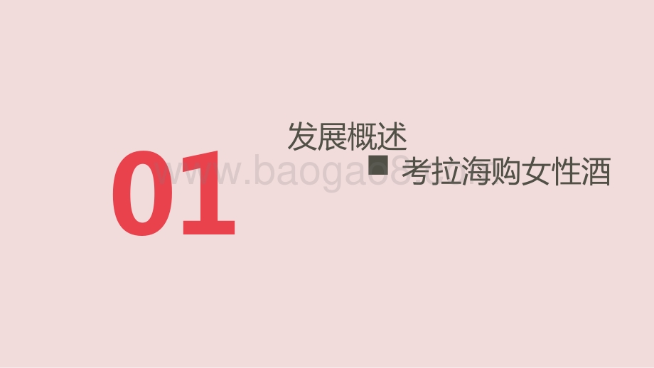 2020-2021考拉海购女性酒水消费洞察报告.pptx_第3页