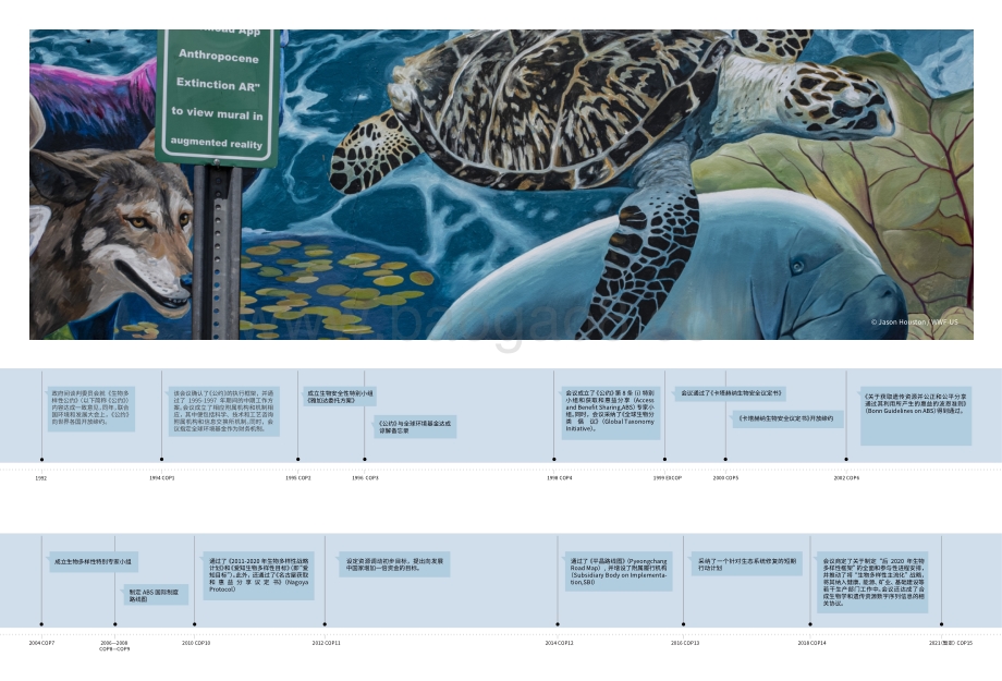 《生物多样性公约》机制与谈判：公民社会组织与青年能力建设手册.pdf_第4页