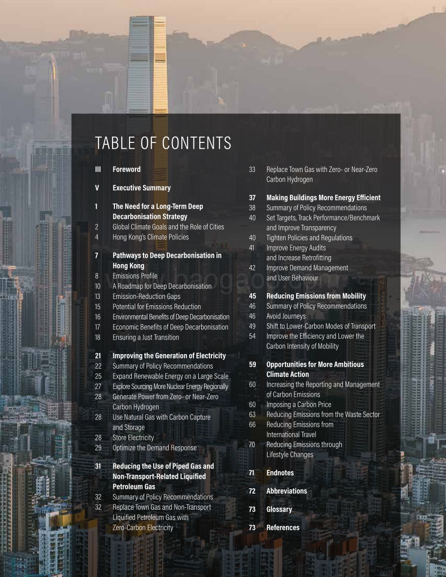迈向更美好的香港：2050年实现净零碳排放蓝图（英文版）.pdf_第3页