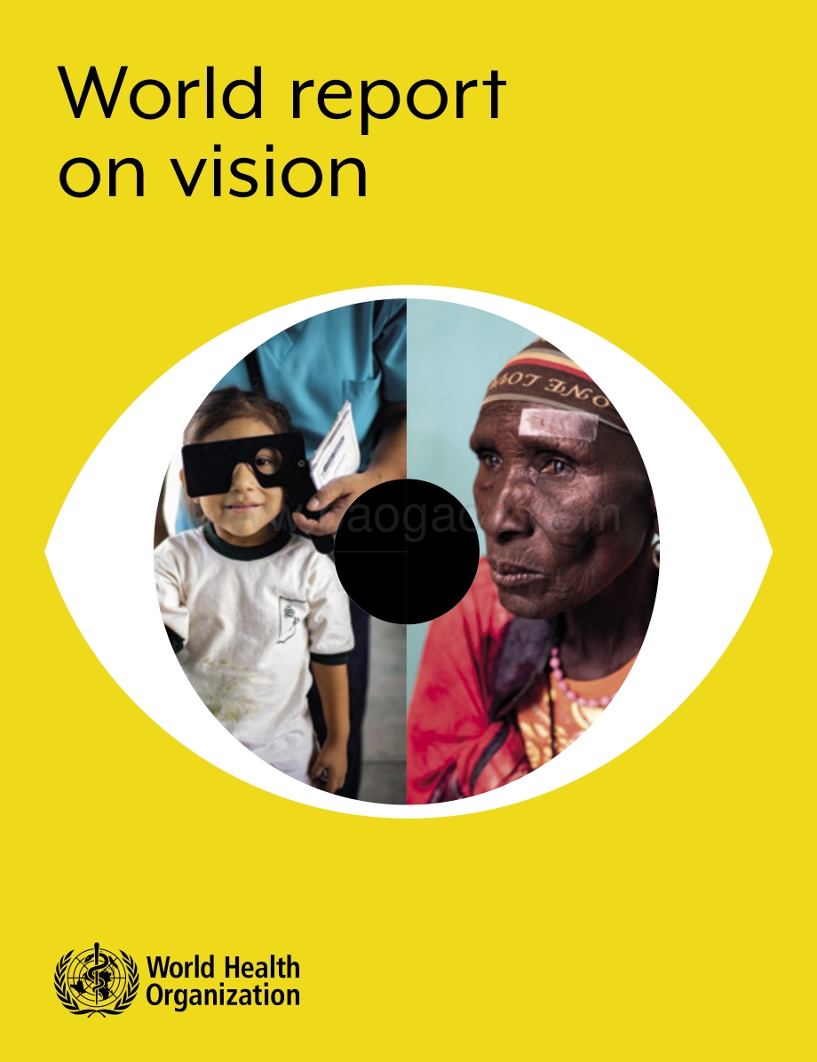 2019年世界视力报告（英文版）.pdf_第1页