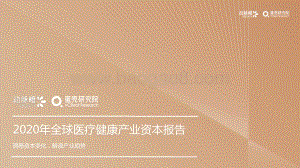 2020年全球医疗健康产业资本报告.pdf