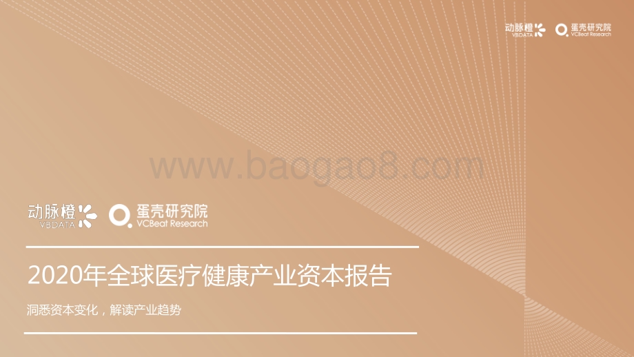 2020年全球医疗健康产业资本报告.pdf_第1页