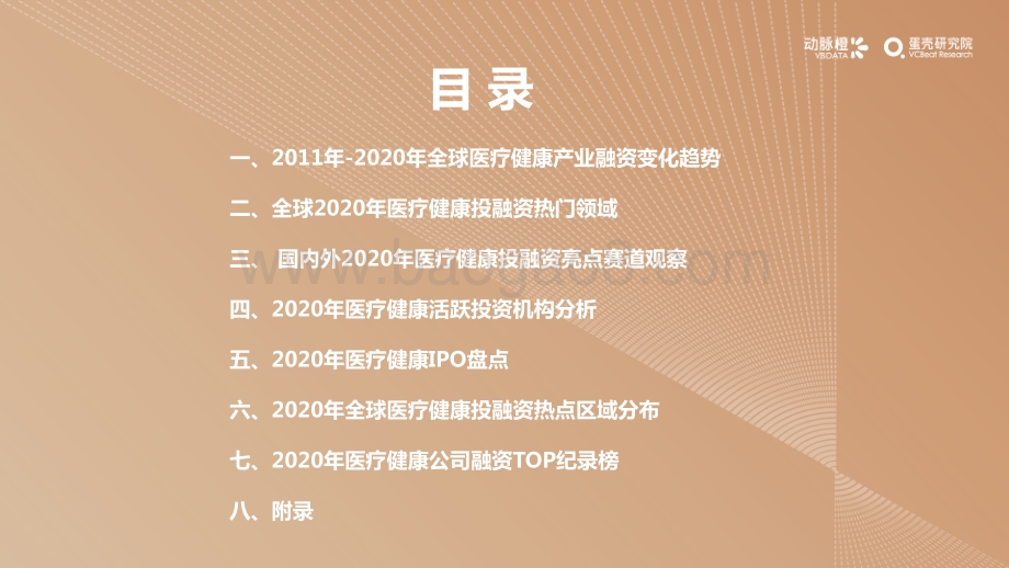 2020年全球医疗健康产业资本报告.pdf_第5页