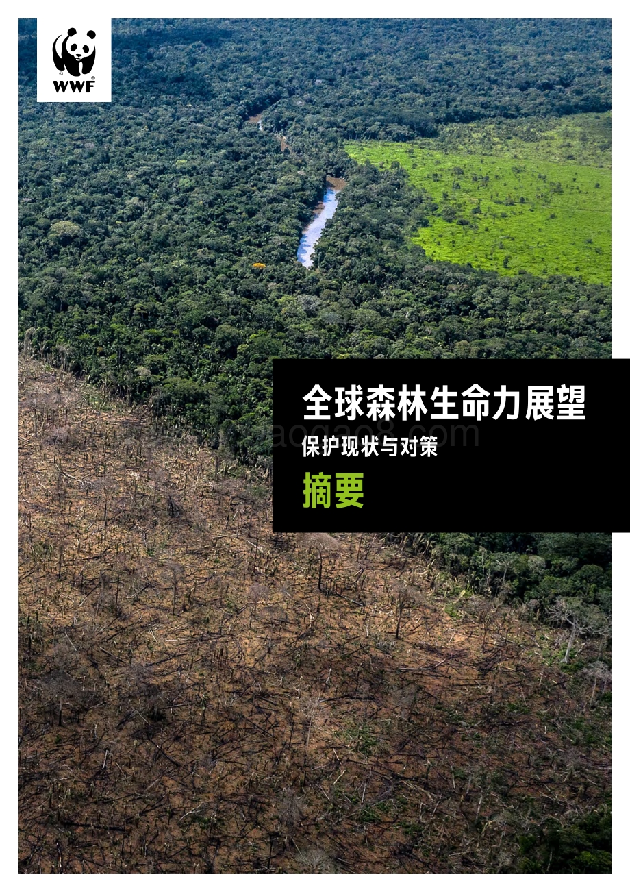 全球森林生命力展望摘要：保护现状与对策.pdf_第1页