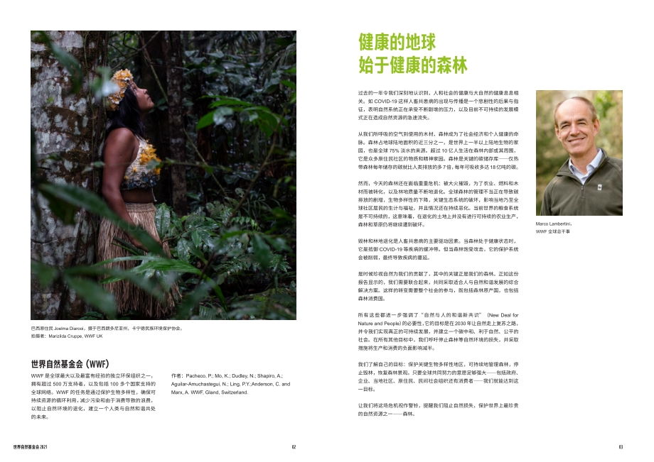 全球森林生命力展望摘要：保护现状与对策.pdf_第2页