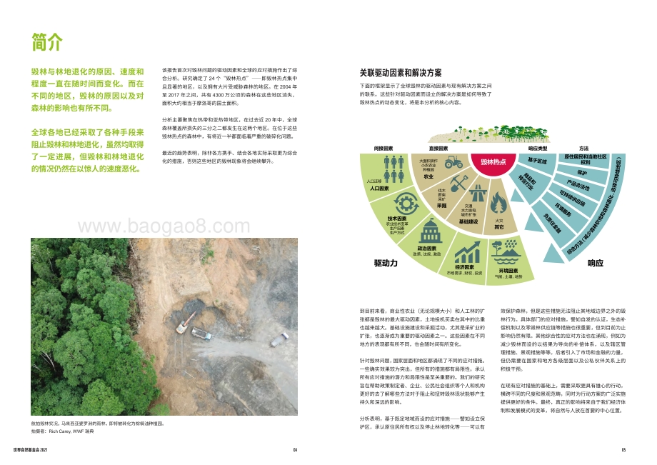 全球森林生命力展望摘要：保护现状与对策.pdf_第3页
