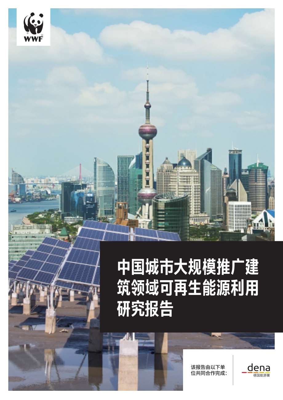 中国城市大规模推广建筑领域可再生能源利用研究报告.pdf_第1页