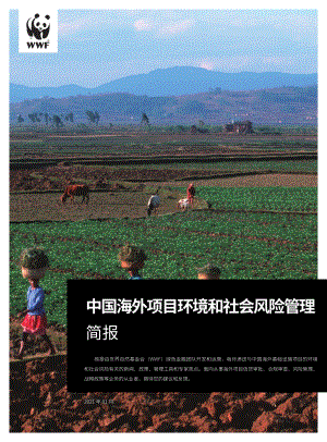 2021年1月中国海外项目环境和社会风险管理简报.pdf