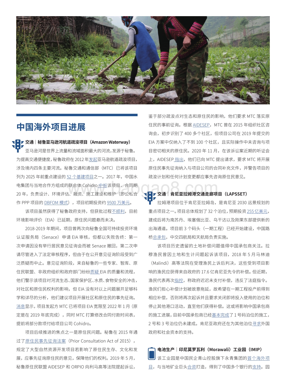 2021年1月中国海外项目环境和社会风险管理简报.pdf_第2页