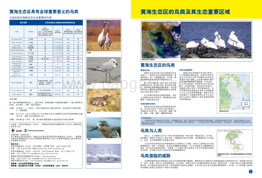黄海生态区：全球的财富共同的责任.pdf_第5页