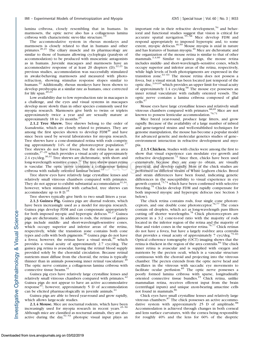 关于正视化和近视实验模型的报告（英文版）.pdf_第3页