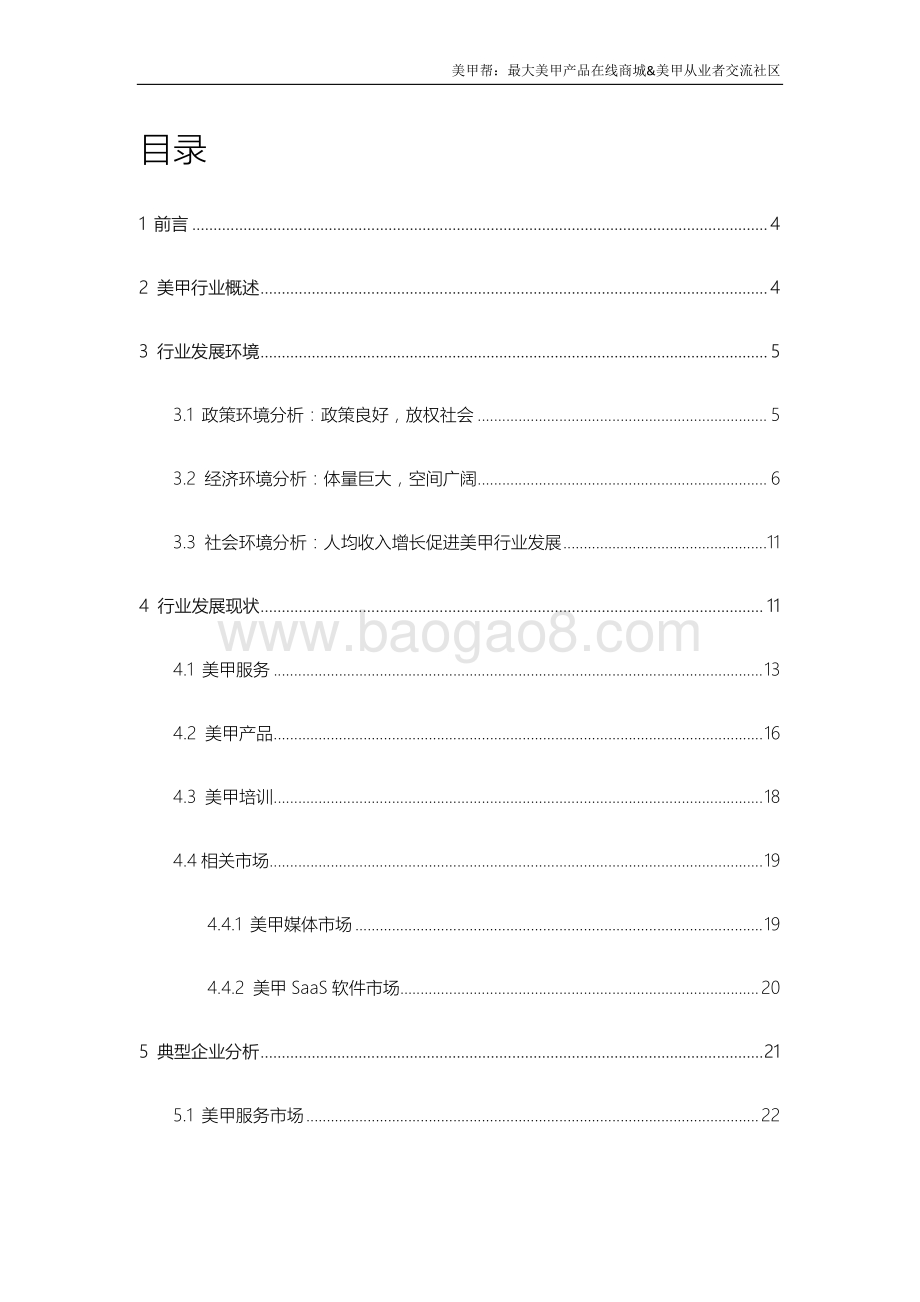 2015年美甲互联网行业研究报告.pdf_第2页