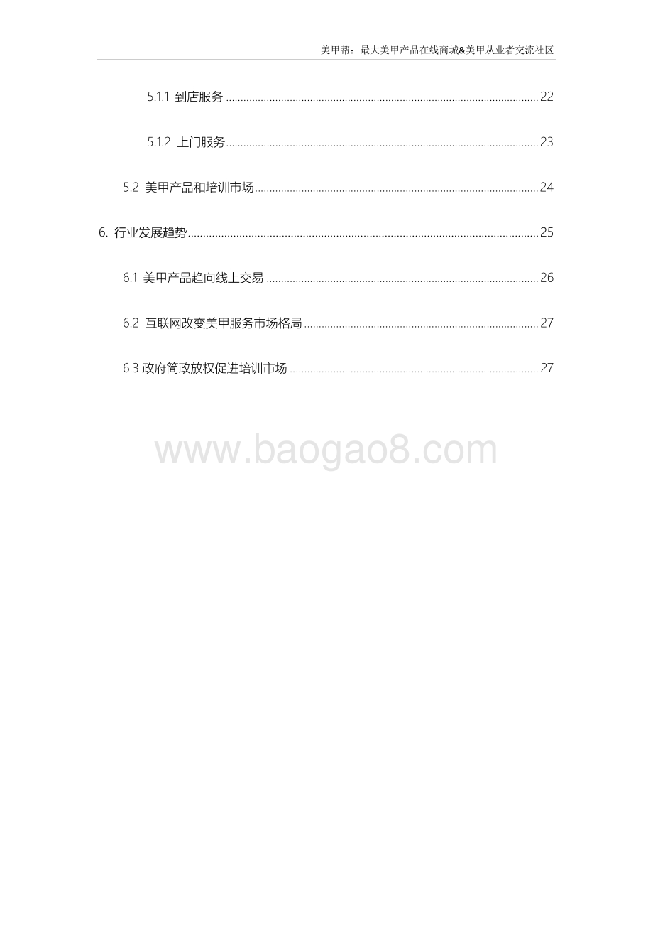 2015年美甲互联网行业研究报告.pdf_第3页