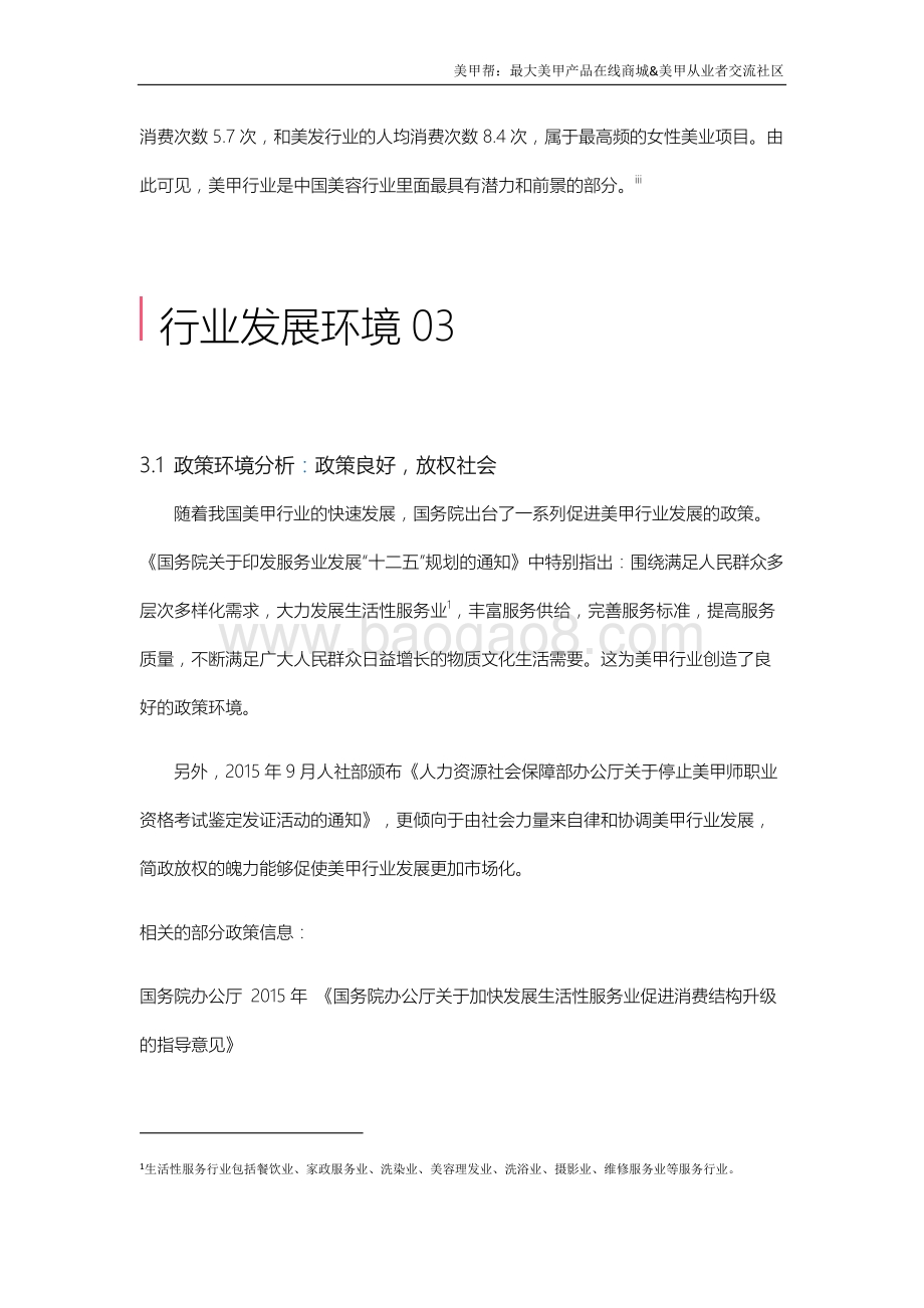 2015年美甲互联网行业研究报告.pdf_第5页