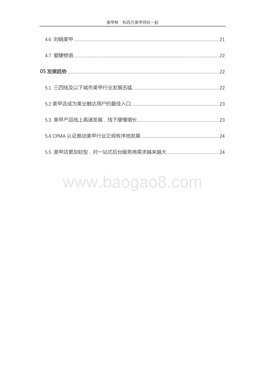 2016年美甲互联网行业研究报告.pdf_第3页