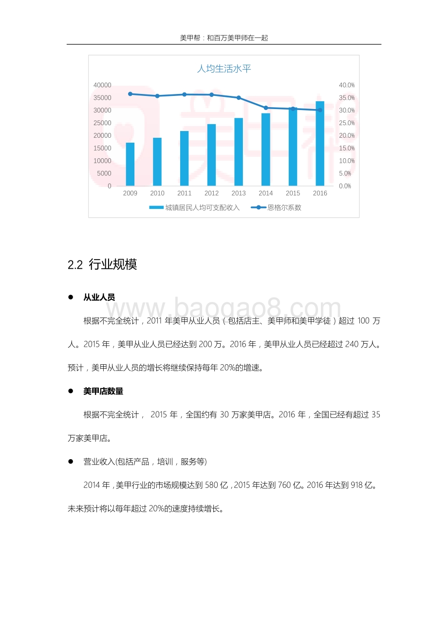 2016年美甲互联网行业研究报告.pdf_第5页