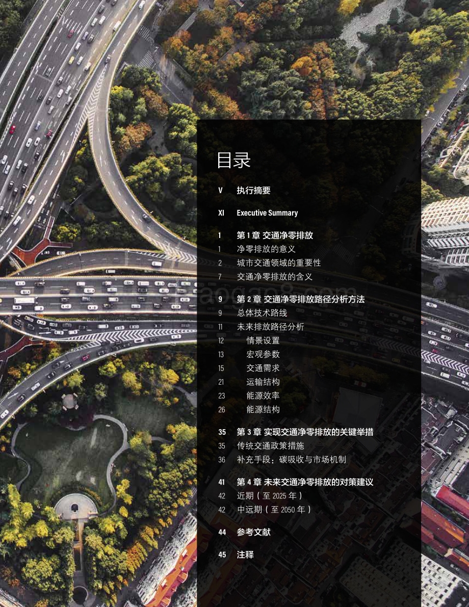 城市的交通“净零”排放：路径分析方法、关键举措和对策建议.pdf_第3页