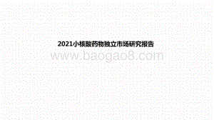 2021小核酸药物独立市场研究报告.pptx
