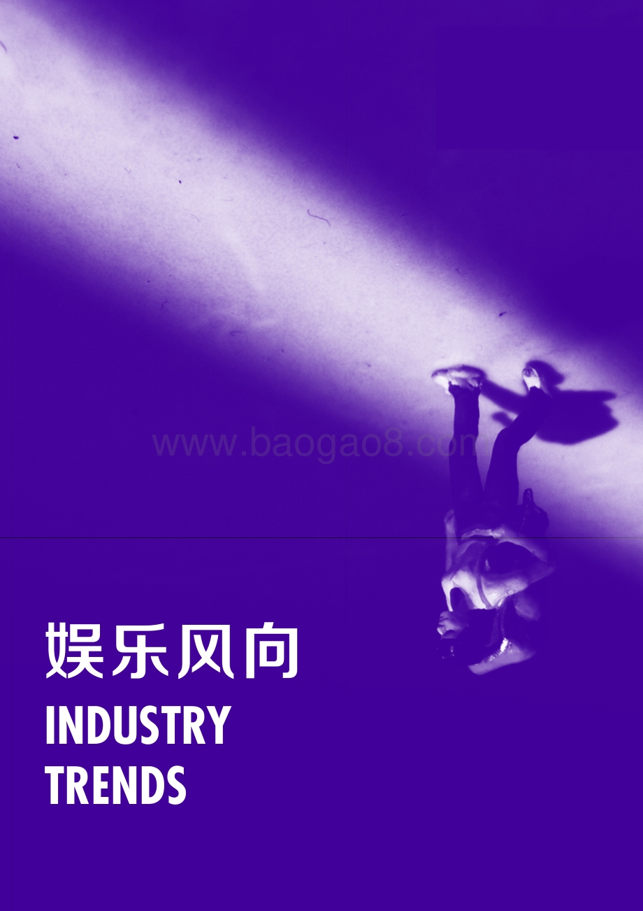 2020年娱乐算数白皮书.pdf_第4页