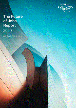 2020未来就业报告（英文版）.pdf