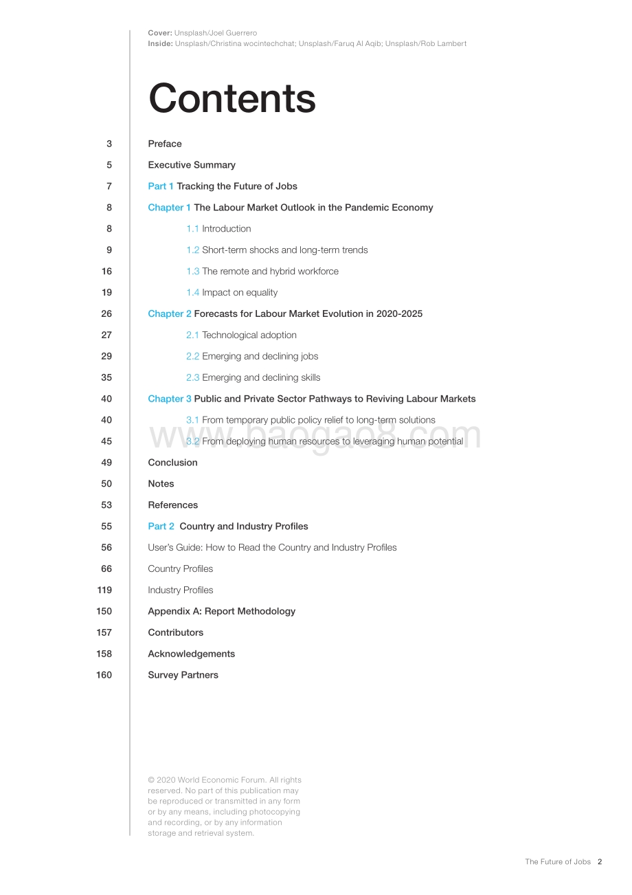 2020未来就业报告（英文版）.pdf_第2页