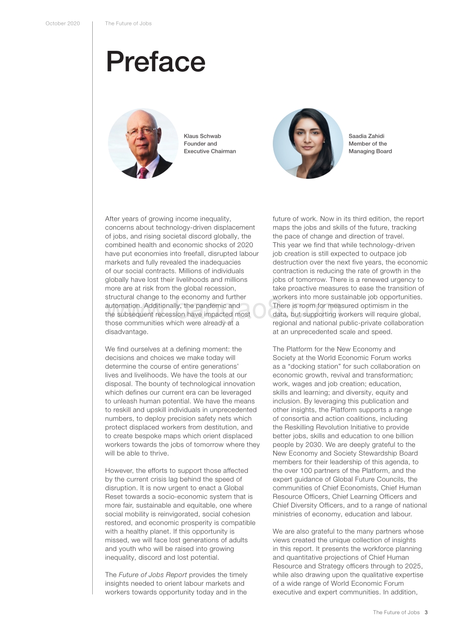 2020未来就业报告（英文版）.pdf_第3页