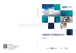 2020中国氢能产业发展报告.pdf
