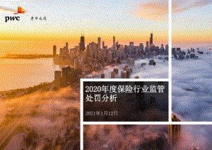 2020年度保险行业监管处罚分析.pdf