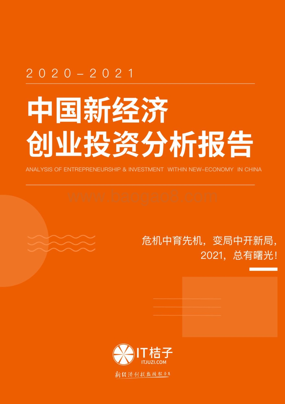 2020-2021中国新经济创业投资分析报告.pdf_第1页