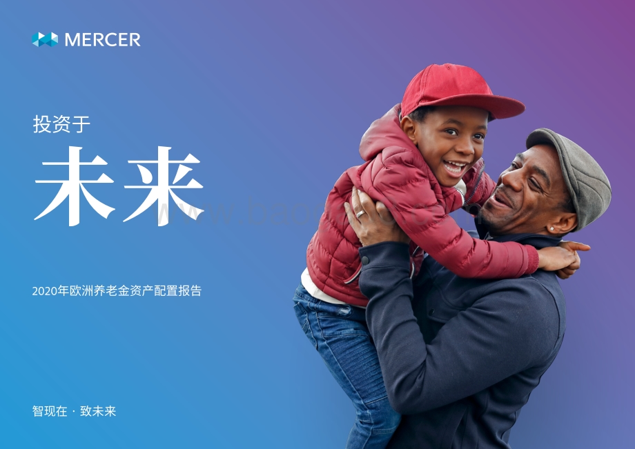 2020年欧洲养老金资产配置报告.pdf_第1页